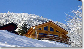 location chalet vosges pied des pistes