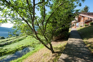 Chalet-Mazieres-ext-location-Bussang-18.jpg