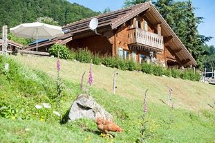 Chalet-Mazieres-ext-location-Bussang-30.jpg